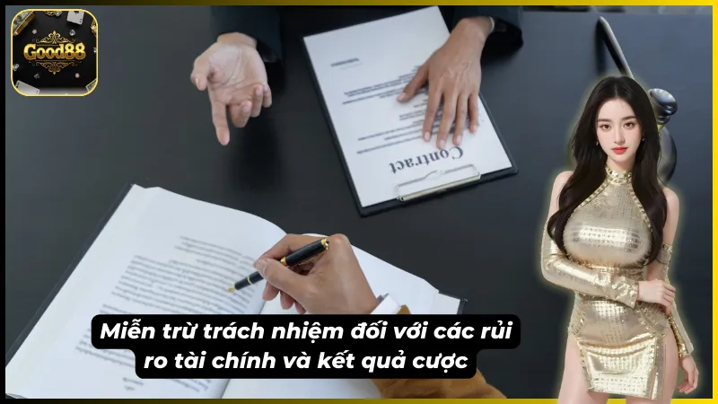 Tuyên bố miễn trừ trách nhiệm với các rủi ro tài chính từ người chơi